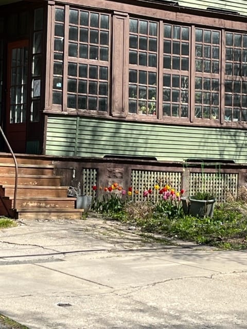 front garden - 117 Green St