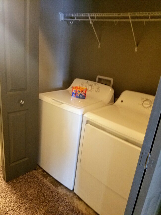 Building Photo - 1331 Winona Ct