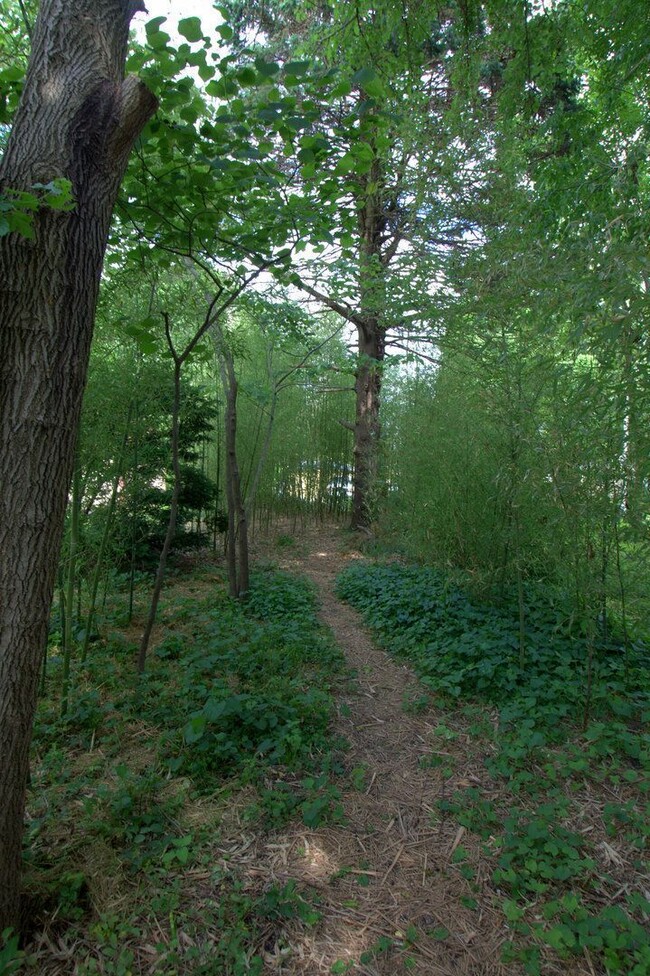 Building Photo - 4-Bedroom 2-Bath Home near Downtown Champa...