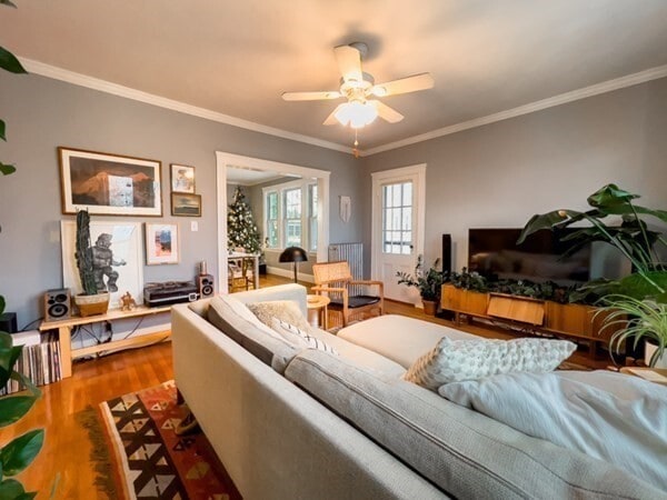 Building Photo - 23 Goldsmith St