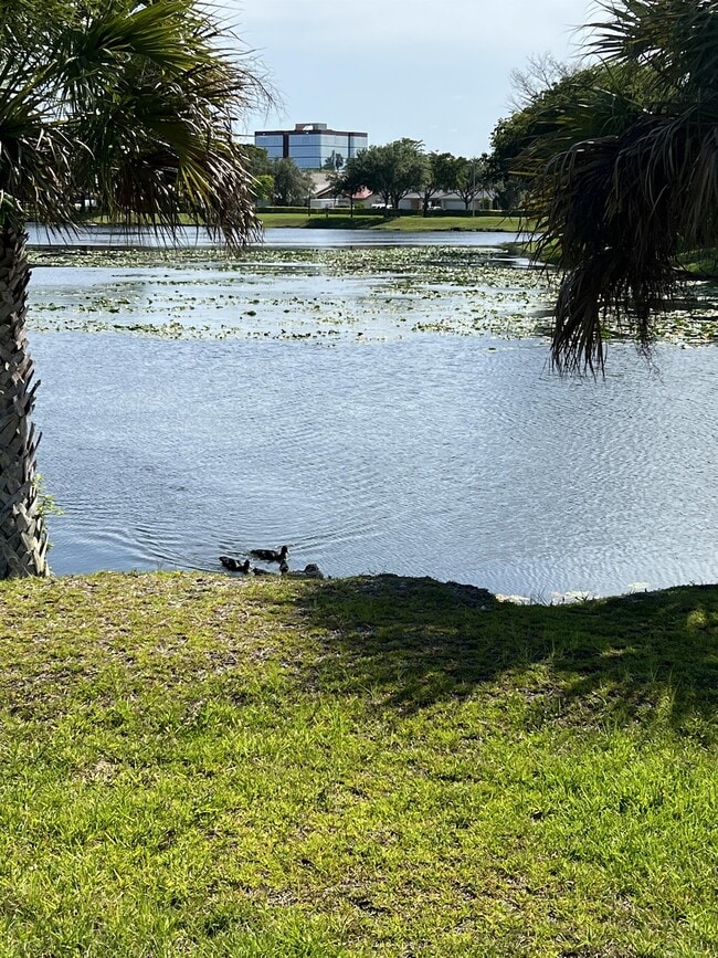 Building Photo - 8911B NW 28th Dr