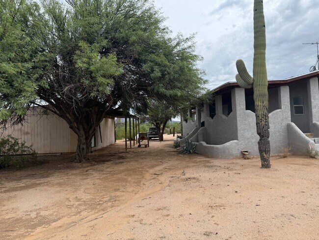 Building Photo - 6575 N Pelto Path