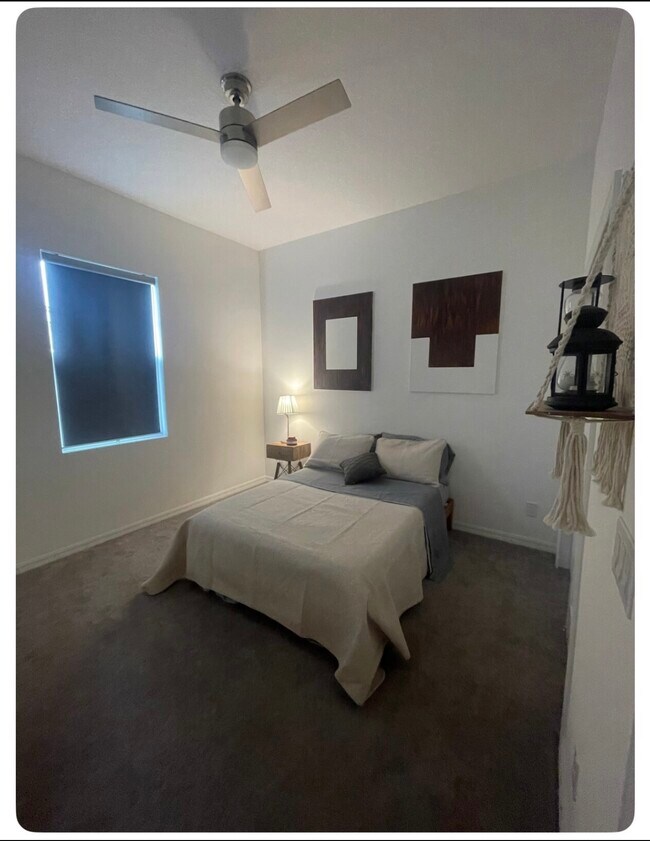 Building Photo - 2150 Brillante Dr