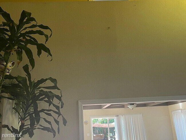 Building Photo - 4 br, 2.5 bath House - 733 Dolores Ave