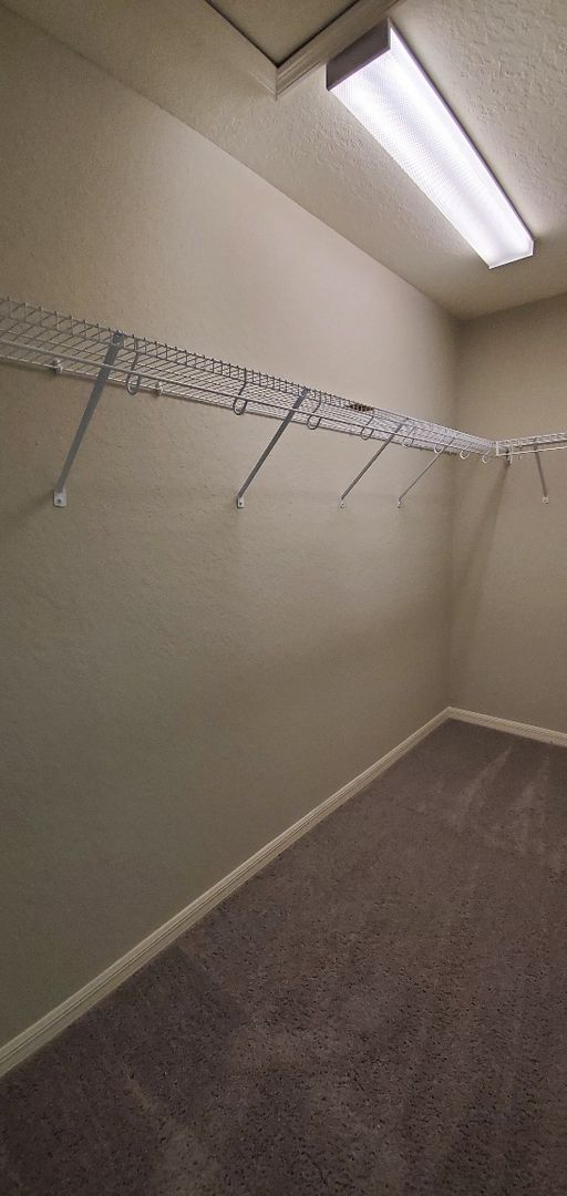 Building Photo - Beautiful 4-Bedroom, 2-Bathroom in Lakeland
