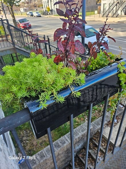 Front Porch - 2417 W Warren Blvd