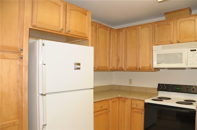 Building Photo - 3174 Vine Cir