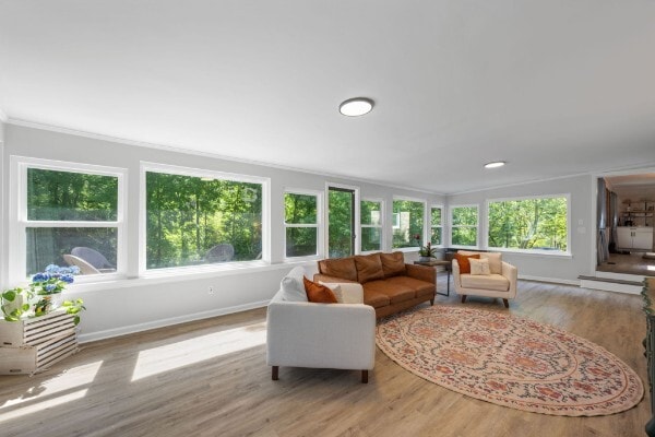 Sunroom/Living Room - 1220 Franklin Dr
