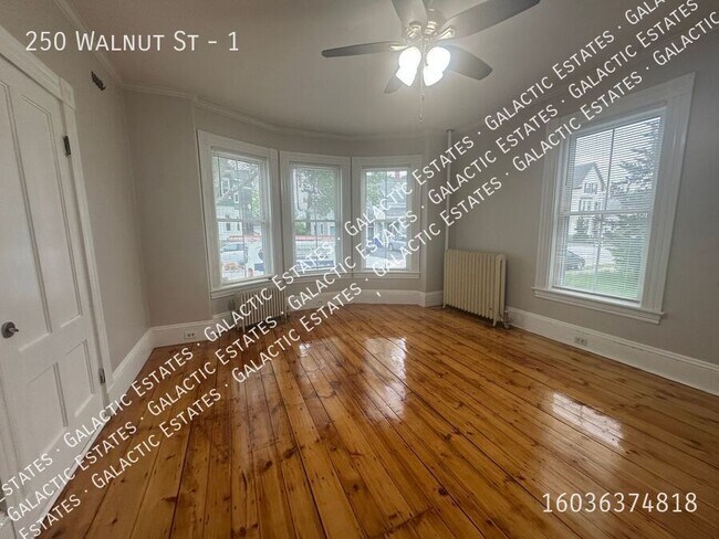 Building Photo - 250 Walnut St