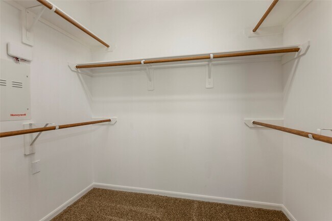 Building Photo - 11723 Cypress Creek Forest Dr