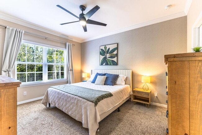 Building Photo - 23550 Alamanda Dr