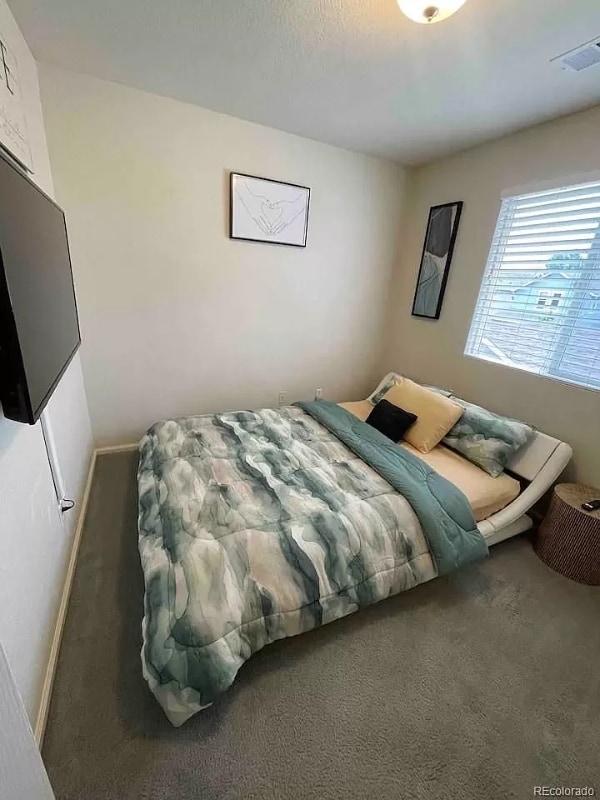 Building Photo - 4543 Crestone Peak St