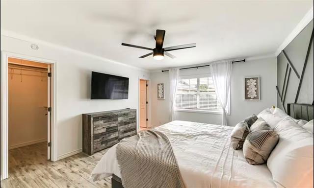 Building Photo - 4905 Avery Pl