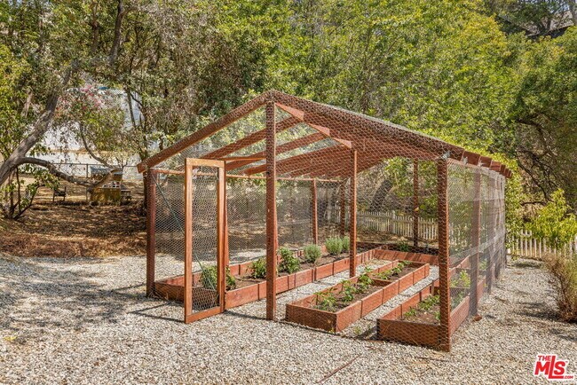 Building Photo - 11349 Canton Dr