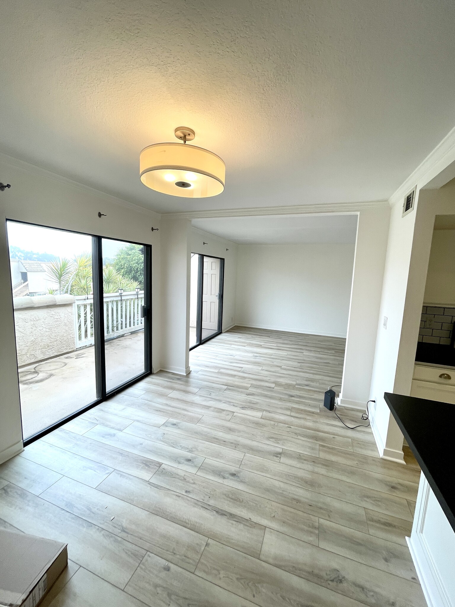 Living Area - double sliders to balcony - 2918 Camino Capistrano