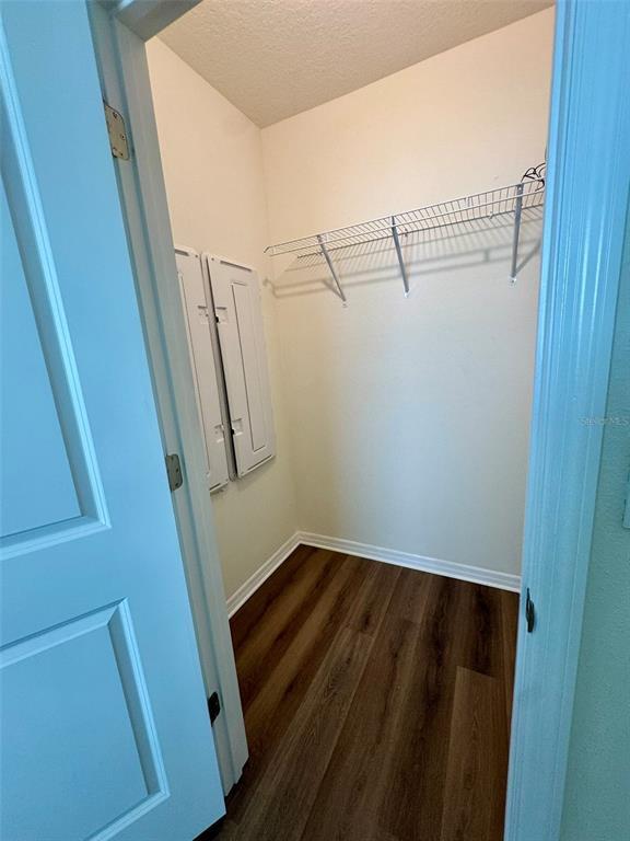 Building Photo - 32242 Turtle Grace Lp