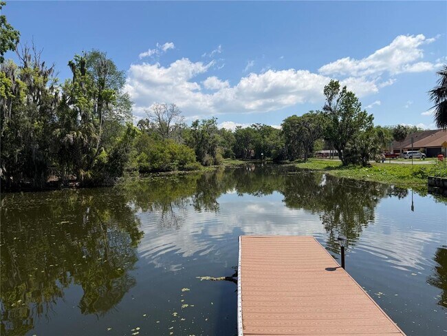 Building Photo - 804 Palm Harbor Ct