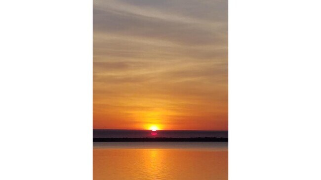 Building Photo - 212 St Johns Ave