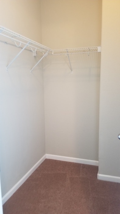 Building Photo - 953 Campfire Cir