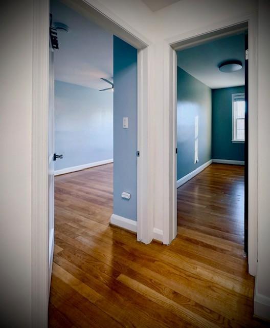 Building Photo - 8542 Pleasant Plains Rd