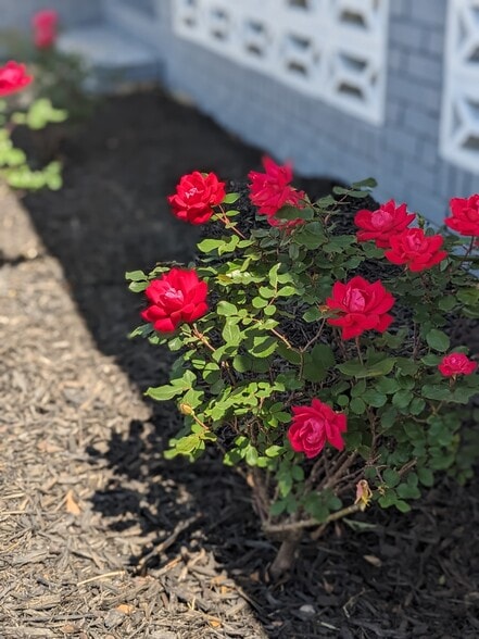 Building Photo - 804 Wright St