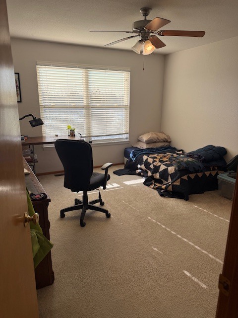 Building Photo - 2722 Coralberry Ct