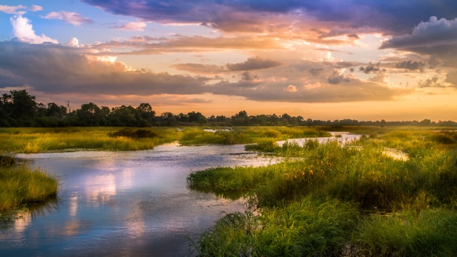 Building Photo - 1 Regents and UC Blvd