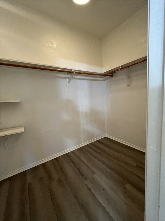 Building Photo - 2903 Surrey Trail Ln