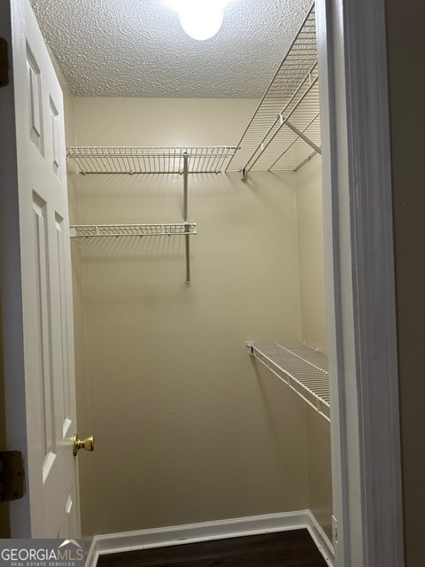 Building Photo - 323 Carriage Ln