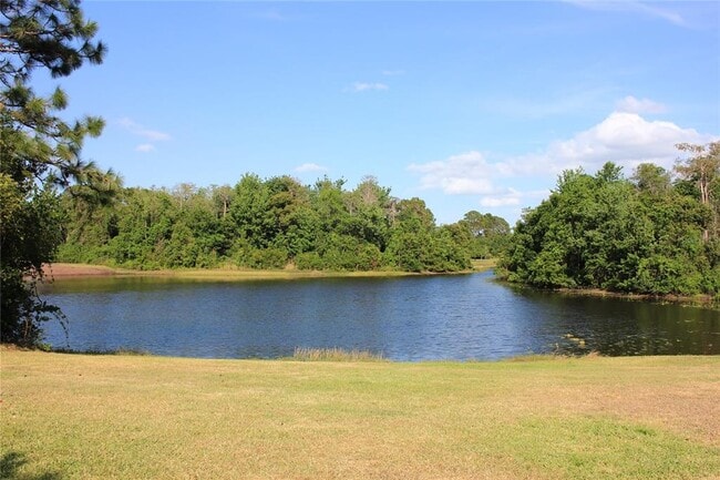 Building Photo - 10117 Shadow Leaf Ct