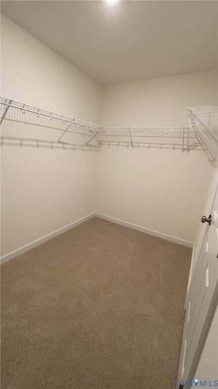 Building Photo - 4944 Bailey Woods Ln