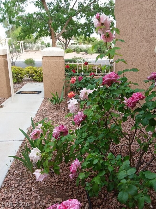 Building Photo - 2741 Sungold Dr