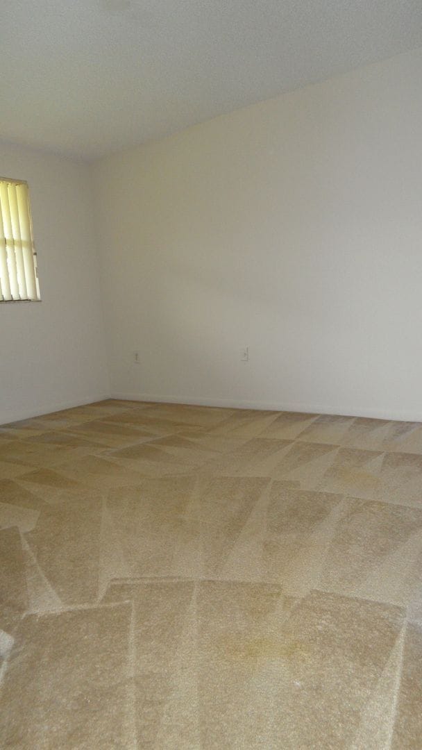 Building Photo - 1bd /1 ba Graet Location!