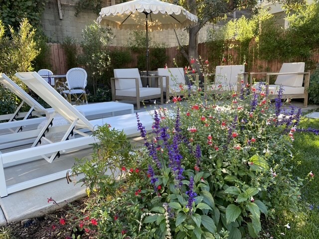 Shared Backyard Patio Space with Sun Chairs and Bistro Table - 1156 S Highland Ave