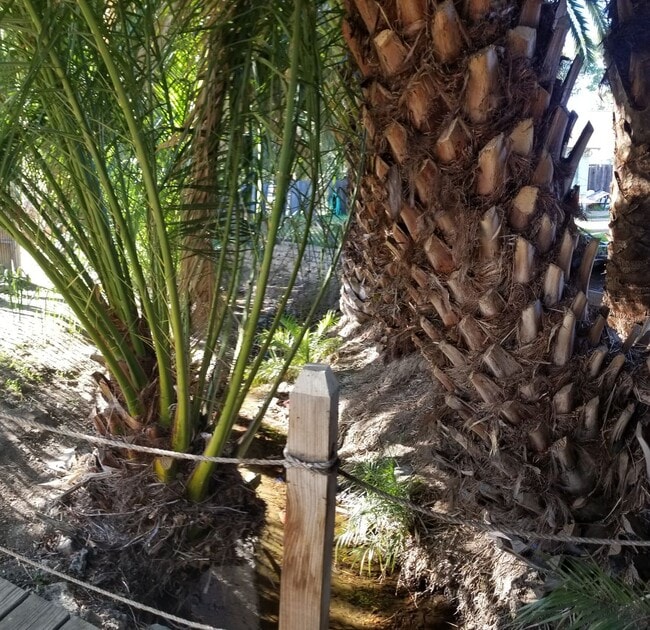 Building Photo - SLO Tropical Private Bungalow ideally located close to Cal Poly!