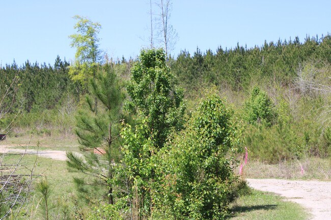 Building Photo - 818 W Grantville Rd