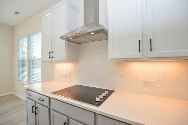 Building Photo - New Price | Brand-New 5 Bedroom Tega Cay Home with Flexible Lease Options