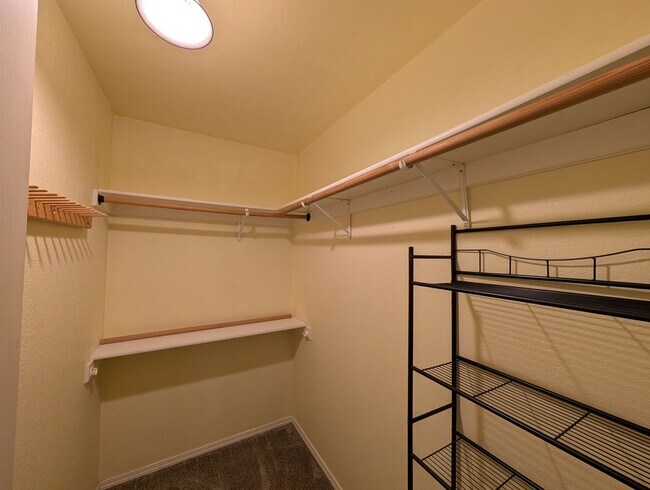 Building Photo - 224 Capitan Cir