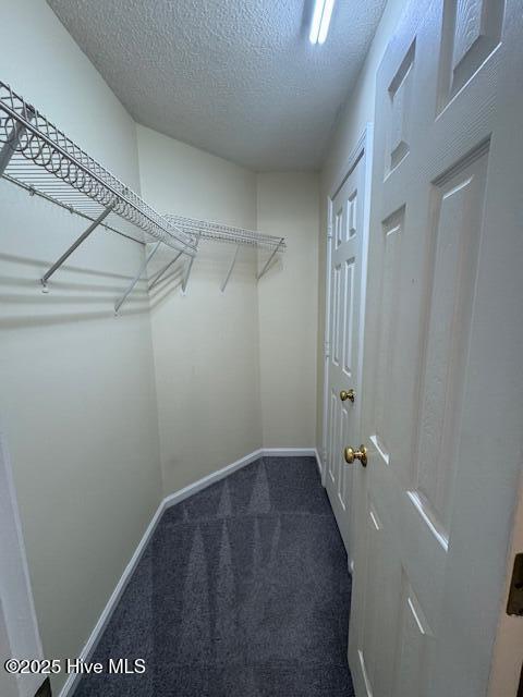 Building Photo - 4613 McClelland Dr