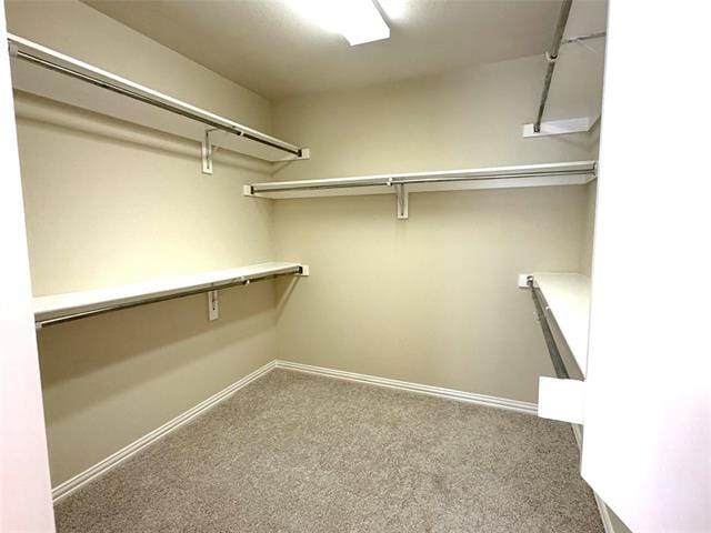 Building Photo - 2619 Cove Dr
