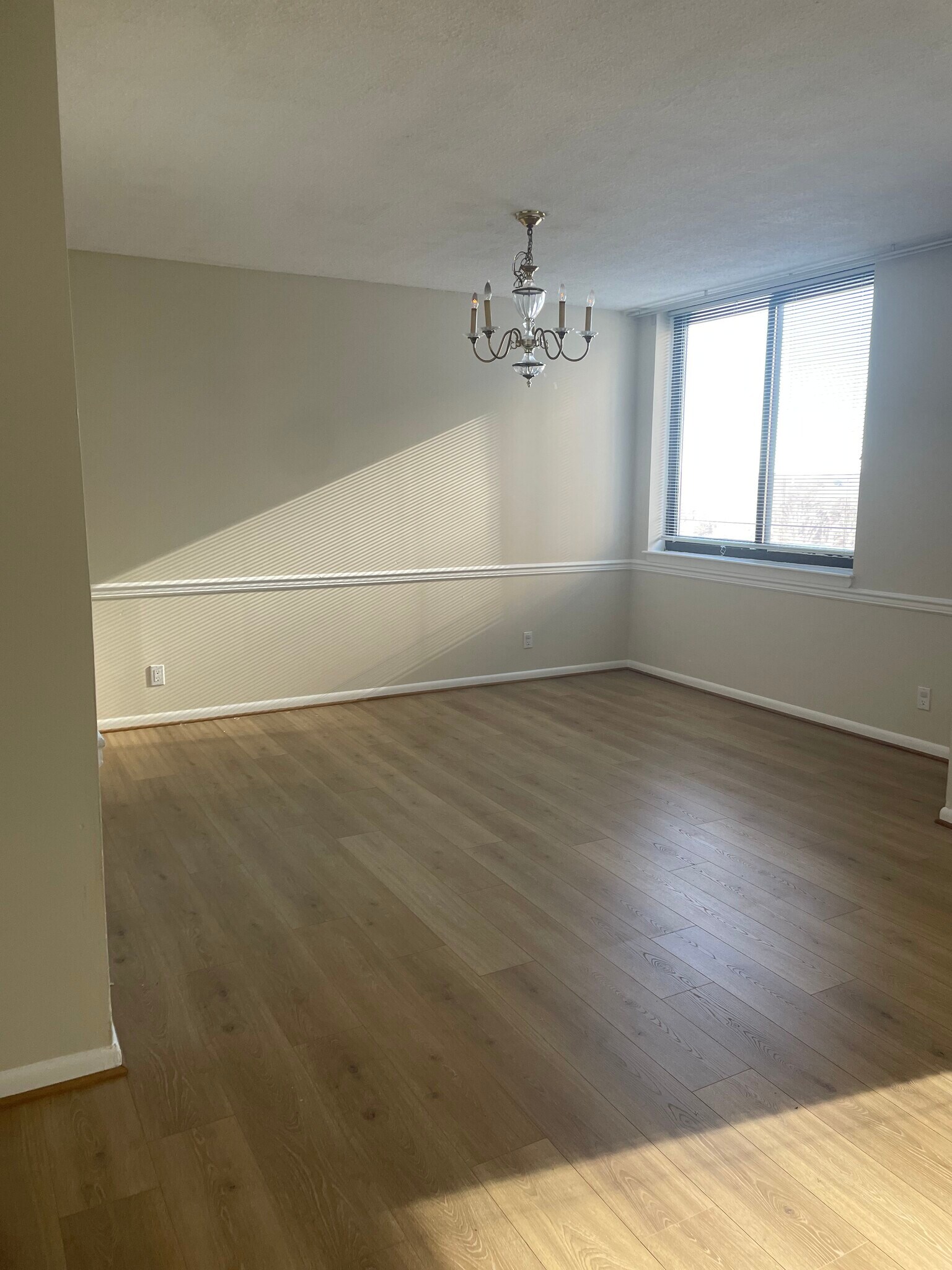 dining room - 5501 Seminary Rd