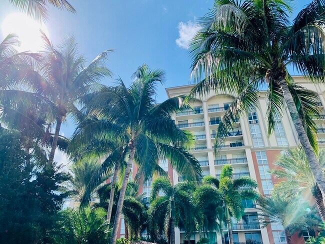 Building view from Pool Deck - 550 Okeechobee Blvd