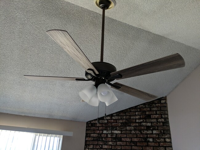 Building Photo - 1533 Jackellen Ln