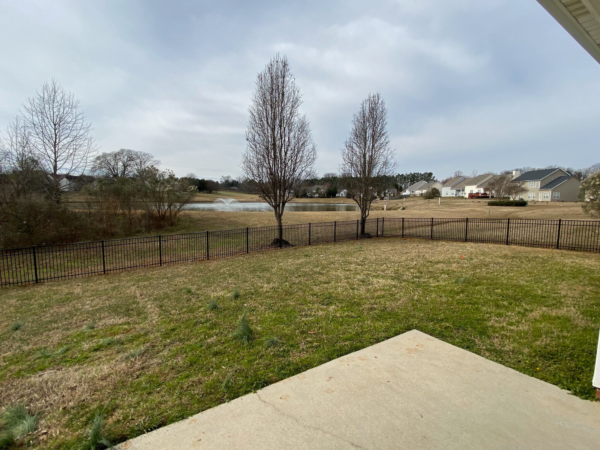 Brand new fencing! - 1914 Conifer Cir
