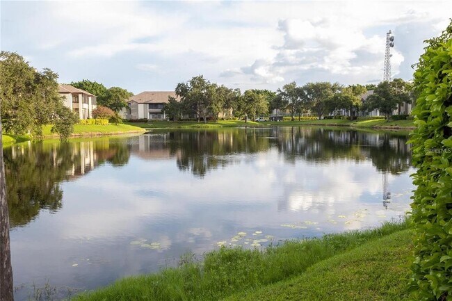 Building Photo - 10265 Gandy Blvd N