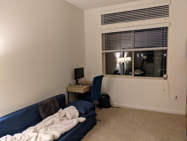 Bedroom 2 - 3355 Octavius Dr