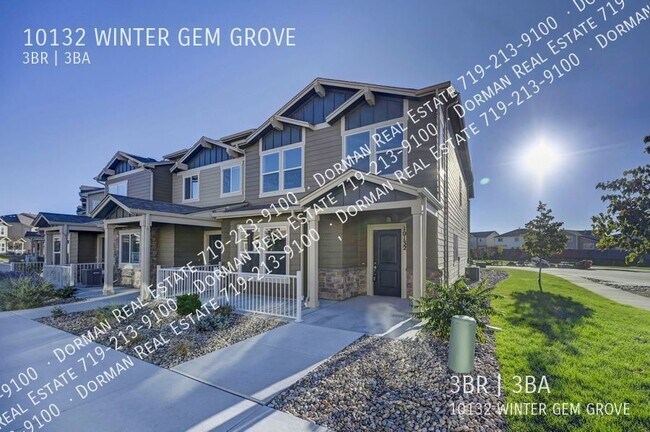 Building Photo - 10132 Winter Gem Grv