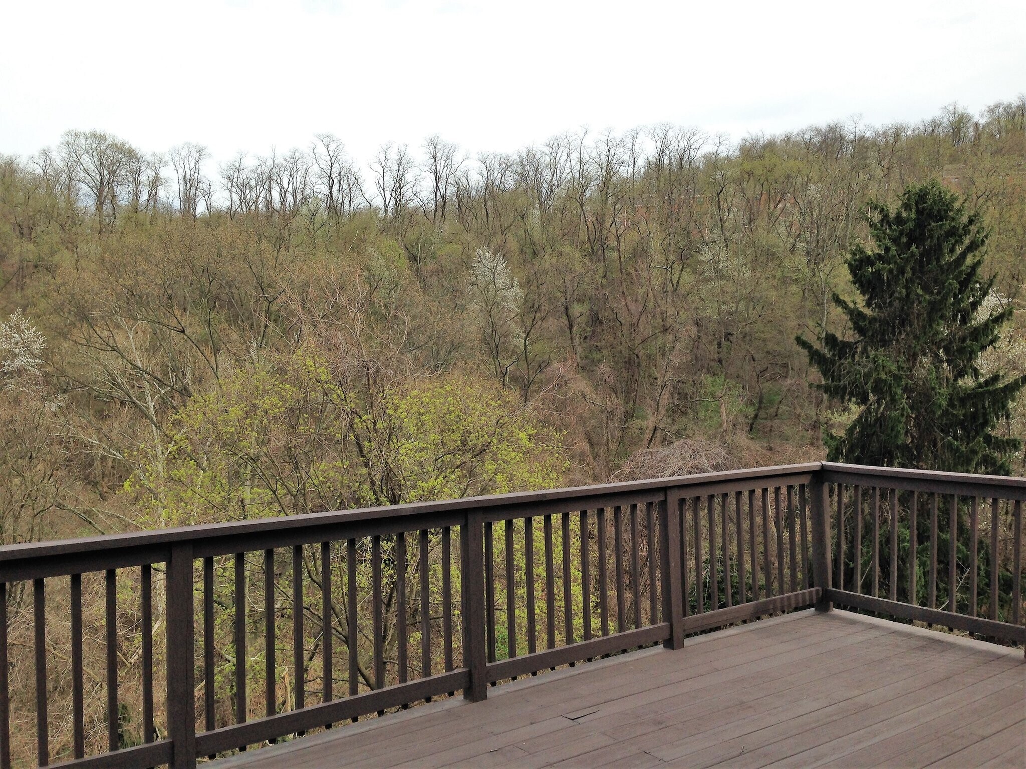 Building Photo - 3213 Josephine St