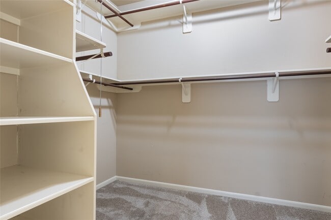 Building Photo - 26519 Longleaf Valley Dr