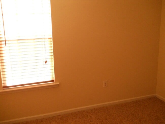 Building Photo - 3 BR 2 BA in Hahira